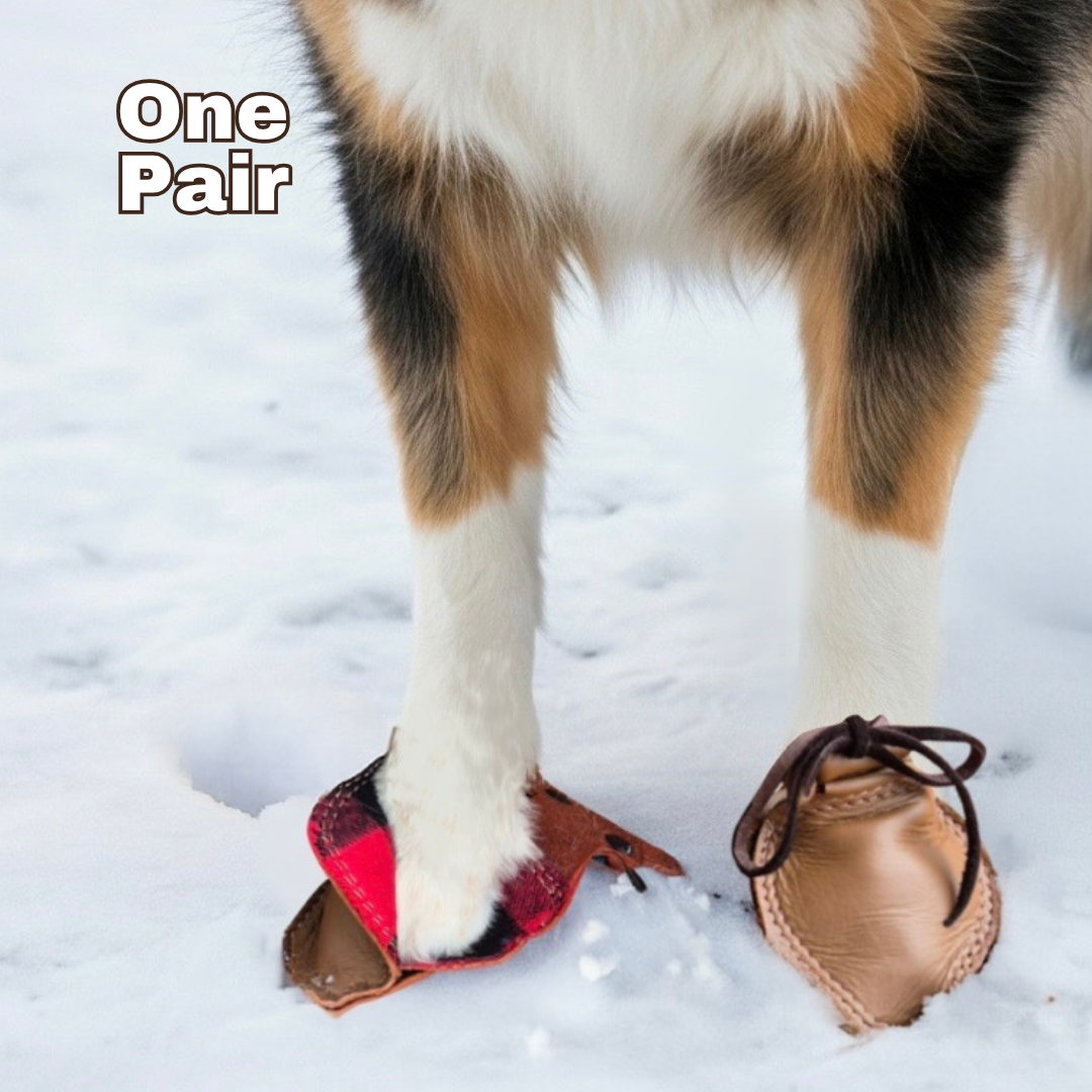 Dog Boots - Insulated Dog Shoes | Dog Mocs | Best Shoes For